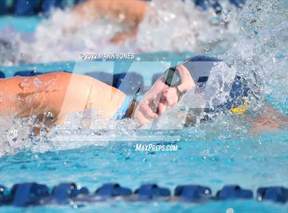 Thumbnail 1 in AIA Division III Swim State Championships photogallery.