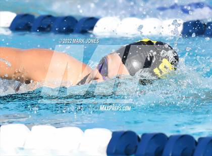 Thumbnail 3 in AIA Division III Swim State Championships photogallery.