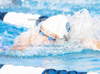 Thumbnail 2 in AIA Division III Swim State Championships photogallery.