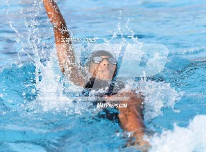 Thumbnail 1 in AIA Division III Swim State Championships photogallery.