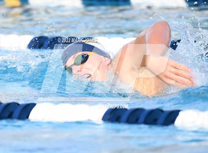 Thumbnail 1 in AIA Division III Swim State Championships photogallery.
