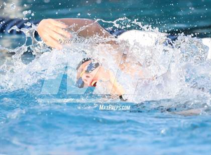 Thumbnail 3 in AIA Division III Swim State Championships photogallery.