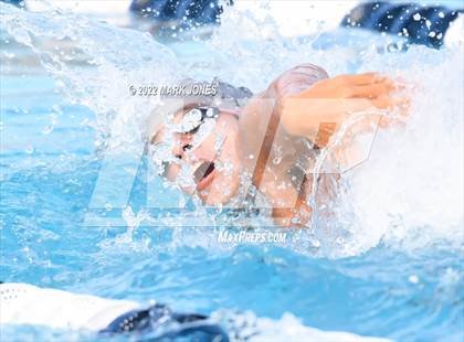 Thumbnail 1 in AIA Division III Swim State Championships photogallery.