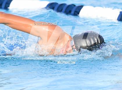 Thumbnail 2 in AIA Division III Swim State Championships photogallery.