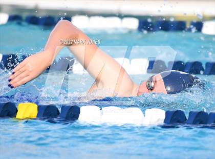 Thumbnail 2 in AIA Division III Swim State Championships photogallery.