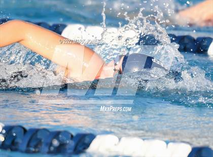 Thumbnail 1 in AIA Division III Swim State Championships photogallery.