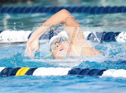 Thumbnail 1 in AIA Division III Swim State Championships photogallery.