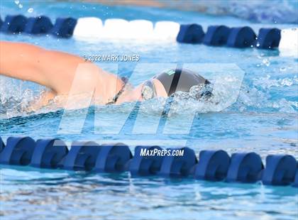 Thumbnail 1 in AIA Division III Swim State Championships photogallery.
