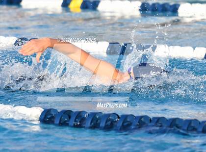 Thumbnail 1 in AIA Division III Swim State Championships photogallery.