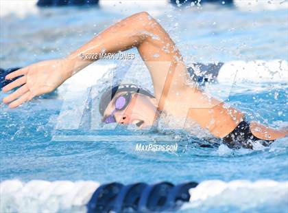 Thumbnail 1 in AIA Division III Swim State Championships photogallery.