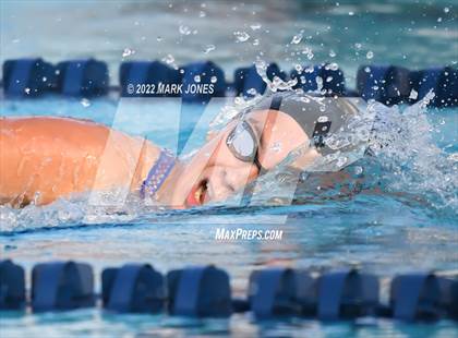 Thumbnail 3 in AIA Division III Swim State Championships photogallery.
