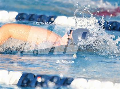 Thumbnail 3 in AIA Division III Swim State Championships photogallery.