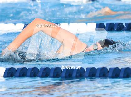 Thumbnail 2 in AIA Division III Swim State Championships photogallery.