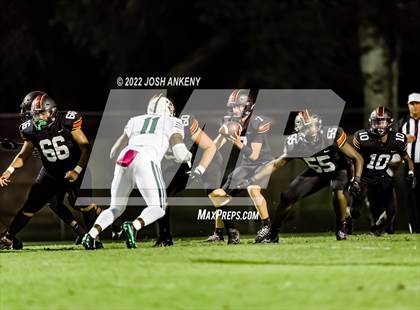 Thumbnail 2 in Plaquemine @ Brusly photogallery.