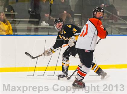Thumbnail 2 in Lakeland-Panas @ Pawling photogallery.