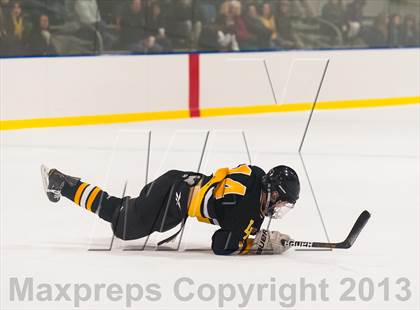 Thumbnail 2 in Lakeland-Panas @ Pawling photogallery.