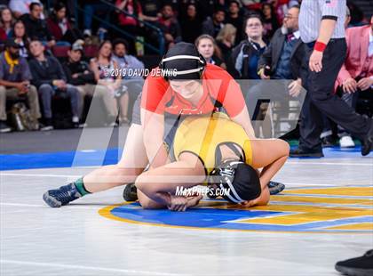 Thumbnail 3 in CIF State Girls Wrestling Championships (Finals) photogallery.