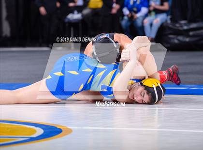 Thumbnail 2 in CIF State Girls Wrestling Championships (Finals) photogallery.
