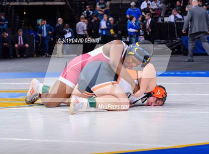 Thumbnail 2 in CIF State Girls Wrestling Championships (Finals) photogallery.