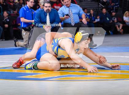 Thumbnail 2 in CIF State Girls Wrestling Championships (Finals) photogallery.
