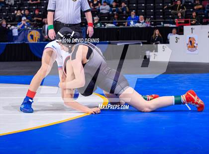 Thumbnail 1 in CIF State Girls Wrestling Championships (Finals) photogallery.
