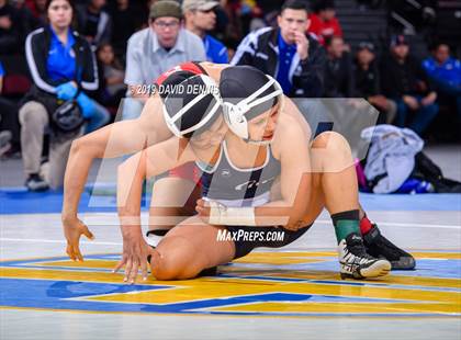 Thumbnail 2 in CIF State Girls Wrestling Championships (Finals) photogallery.