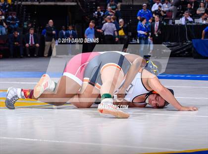 Thumbnail 1 in CIF State Girls Wrestling Championships (Finals) photogallery.