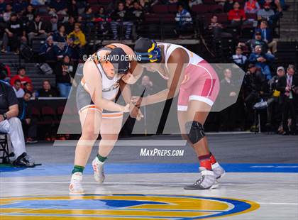 Thumbnail 2 in CIF State Girls Wrestling Championships (Finals) photogallery.