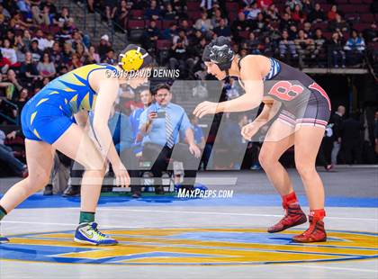 Thumbnail 3 in CIF State Girls Wrestling Championships (Finals) photogallery.