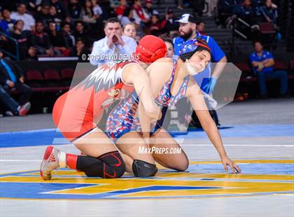 Thumbnail 3 in CIF State Girls Wrestling Championships (Finals) photogallery.