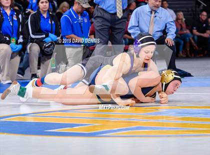 Thumbnail 3 in CIF State Girls Wrestling Championships (Finals) photogallery.