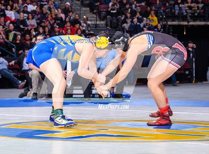 Thumbnail 1 in CIF State Girls Wrestling Championships (Finals) photogallery.