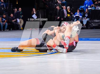 Thumbnail 3 in CIF State Girls Wrestling Championships (Finals) photogallery.