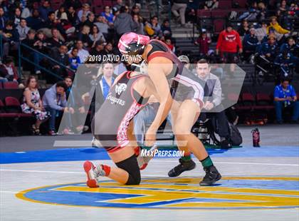 Thumbnail 2 in CIF State Girls Wrestling Championships (Finals) photogallery.