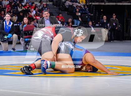 Thumbnail 2 in CIF State Girls Wrestling Championships (Finals) photogallery.