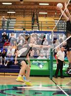 Photo from the gallery "Discovery Canyon vs Castle View (CHSAA State Tournament - First Round)"