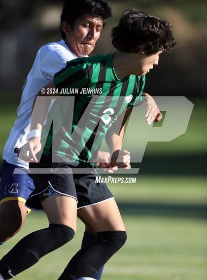 Thumbnail 2 in Meridian @ Borah photogallery.