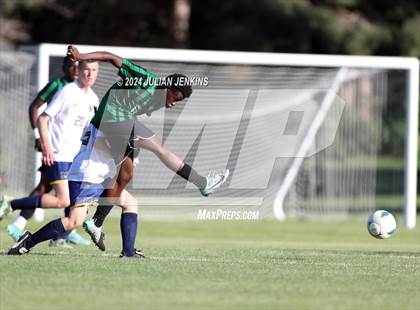 Thumbnail 3 in Meridian @ Borah photogallery.