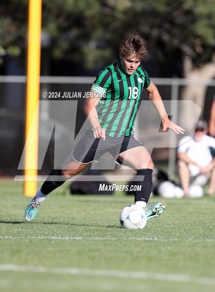 Thumbnail 1 in Meridian @ Borah photogallery.