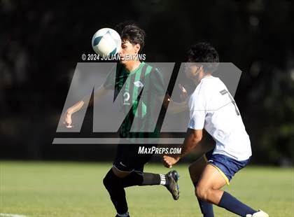 Thumbnail 3 in Meridian @ Borah photogallery.