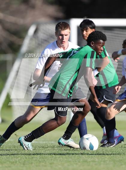 Thumbnail 2 in Meridian @ Borah photogallery.