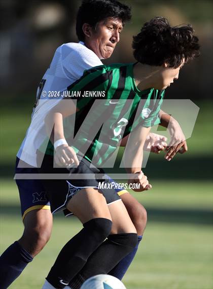 Thumbnail 3 in Meridian @ Borah photogallery.