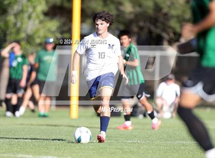 Thumbnail 2 in Meridian @ Borah photogallery.