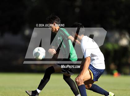 Thumbnail 1 in Meridian @ Borah photogallery.