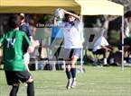 Photo from the gallery "Meridian @ Borah"