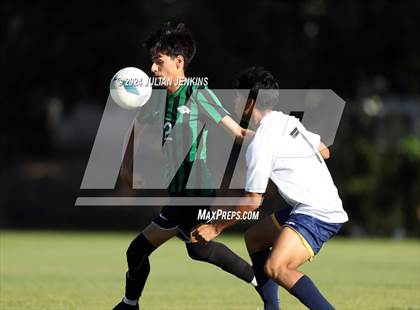 Thumbnail 2 in Meridian @ Borah photogallery.