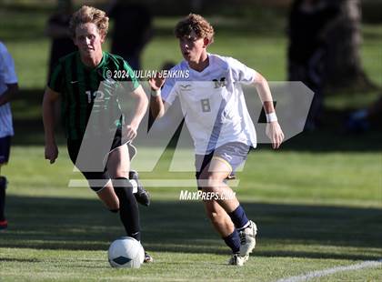 Thumbnail 3 in Meridian @ Borah photogallery.