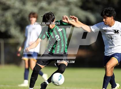 Thumbnail 1 in Meridian @ Borah photogallery.