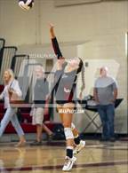 Photo from the gallery "Orland @ West Valley"