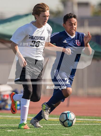 Thumbnail 3 in Pacifica @ Bolsa Grande photogallery.